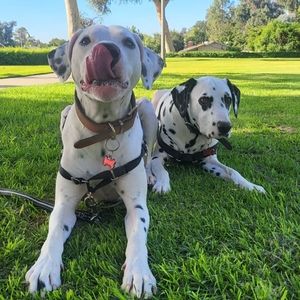 Meet your Posher, Martina